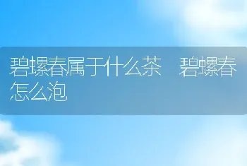 碧螺春属于什么茶 碧螺春怎么泡