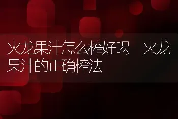 火龙果汁怎么榨好喝 火龙果汁的正确榨法