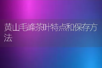 黄山毛峰茶叶特点和保存方法