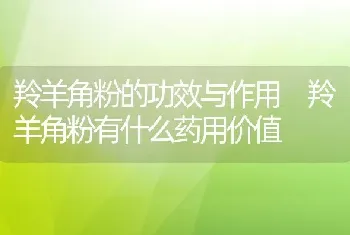 羚羊角粉的功效与作用 羚羊角粉有什么药用价值