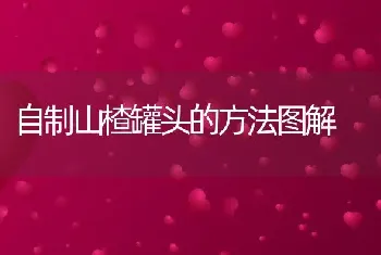 自制山楂罐头的方法图解