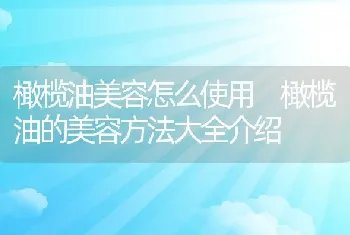 橄榄油美容怎么使用 橄榄油的美容方法大全介绍