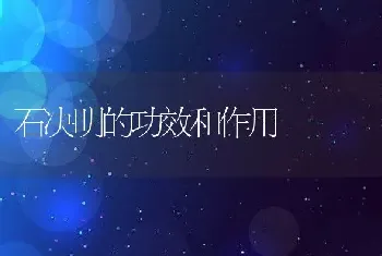 石决明的功效和作用