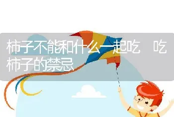 柿子不能和什么一起吃 吃柿子的禁忌