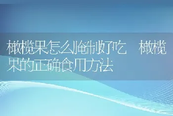 橄榄果怎么腌制好吃 橄榄果的正确食用方法