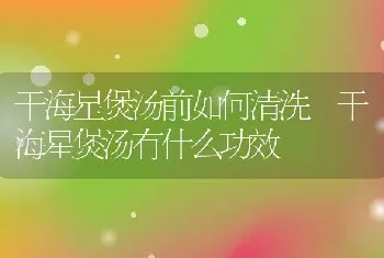 干海星煲汤前如何清洗 干海星煲汤有什么功效