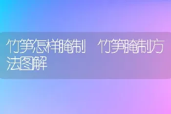 竹笋怎样腌制 竹笋腌制方法图解