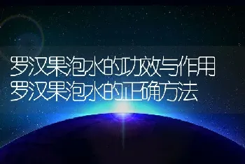 罗汉果泡水的功效与作用 罗汉果泡水的正确方法