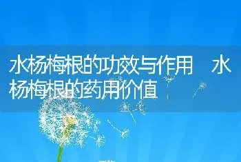 水杨梅根的功效与作用 水杨梅根的药用价值