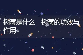 树莓是什么 树莓的功效与作用