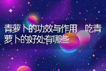 鱼胶怎么吃才有营养 鱼胶怎么吃效果最好