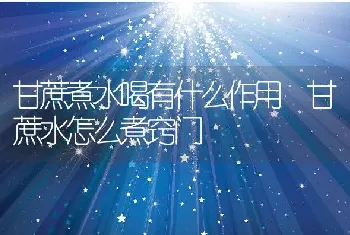 甘蔗煮水喝有什么作用 甘蔗水怎么煮窍门