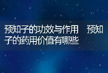 预知子的功效与作用 预知子的药用价值有哪些