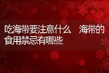 吃海带要注意什么 海带的食用禁忌有哪些