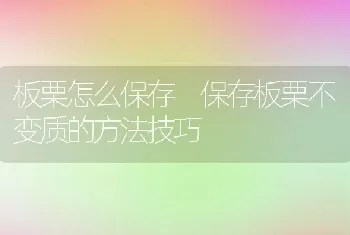 板栗怎么保存 保存板栗不变质的方法技巧