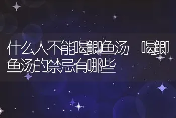 什么人不能喝鲫鱼汤 喝鲫鱼汤的禁忌有哪些