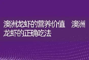 澳洲龙虾的营养价值 澳洲龙虾的正确吃法