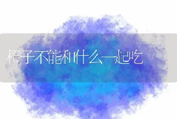 橙子不能和什么一起吃