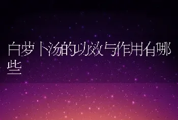 白萝卜汤的功效与作用有哪些