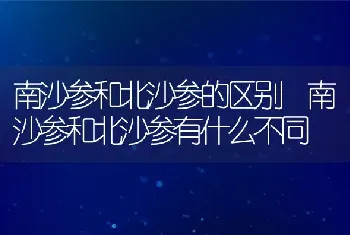 南沙参和北沙参的区别 南沙参和北沙参有什么不同