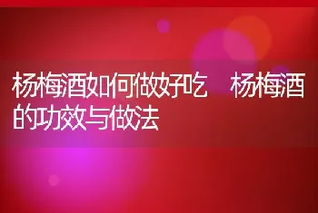 杨梅酒如何做好吃 杨梅酒的功效与做法