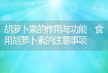 胡萝卜素的作用与功能 食用胡萝卜素的注意事项