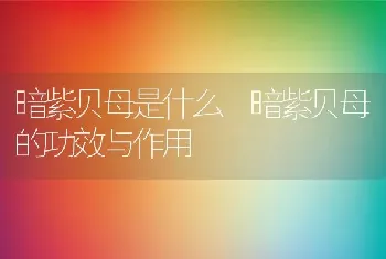 暗紫贝母是什么 暗紫贝母的功效与作用