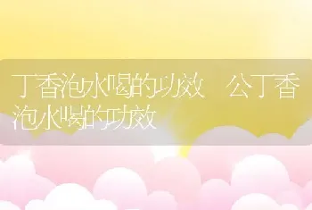 丁香泡水喝的功效 公丁香泡水喝的功效