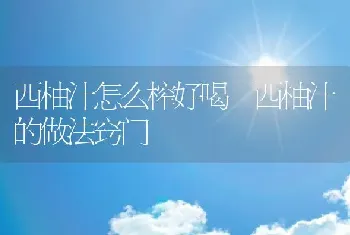 西柚汁怎么榨好喝 西柚汁的做法窍门