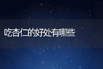 吃杏仁的好处有哪些