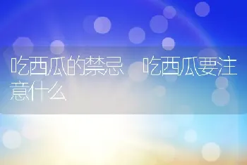 吃西瓜的禁忌 吃西瓜要注意什么