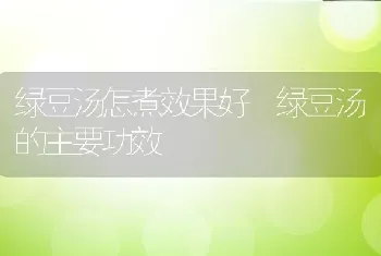 绿豆汤怎煮效果好 绿豆汤的主要功效