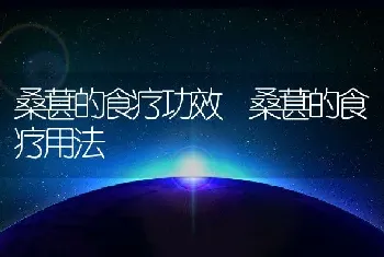 桑葚的食疗功效 桑葚的食疗用法