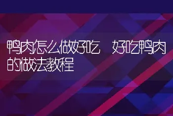 鸭肉怎么做好吃 好吃鸭肉的做法教程