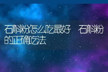 石斛粉怎么吃最好 石斛粉的正确吃法