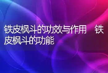 铁皮枫斗的功效与作用 铁皮枫斗的功能