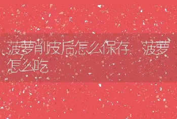 菠萝削皮后怎么保存 菠萝怎么吃