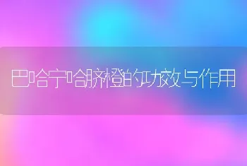 竹柏树如何养殖 竹柏树的养殖方法和注意事项