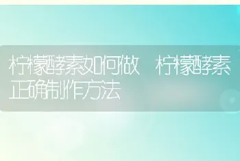 柠檬酵素如何做 柠檬酵素正确制作方法