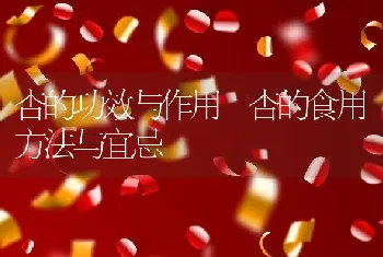 杏的功效与作用 杏的食用方法与宜忌