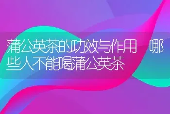 蓝莓汁的功效与作用