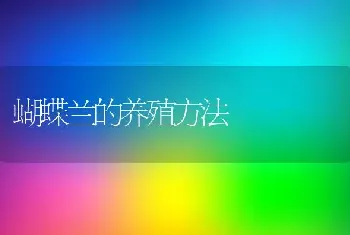 蝴蝶兰的养殖方法