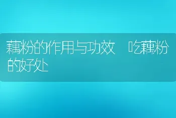 青皮如何食用 青皮怎么吃