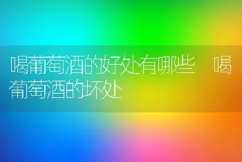 干贝怎么泡发最好 干贝快速泡发技巧