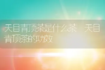 桃枝能治病吗 桃枝能治什么病