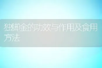 独脚金的功效与作用及食用方法