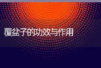 覆盆子的功效与作用