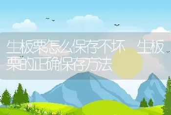 生板栗怎么保存不坏 生板栗的正确保存方法