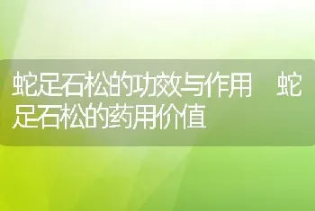 蛇足石松的功效与作用 蛇足石松的药用价值