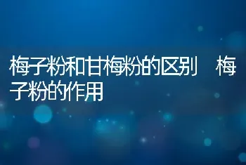 梅子粉和甘梅粉的区别 梅子粉的作用